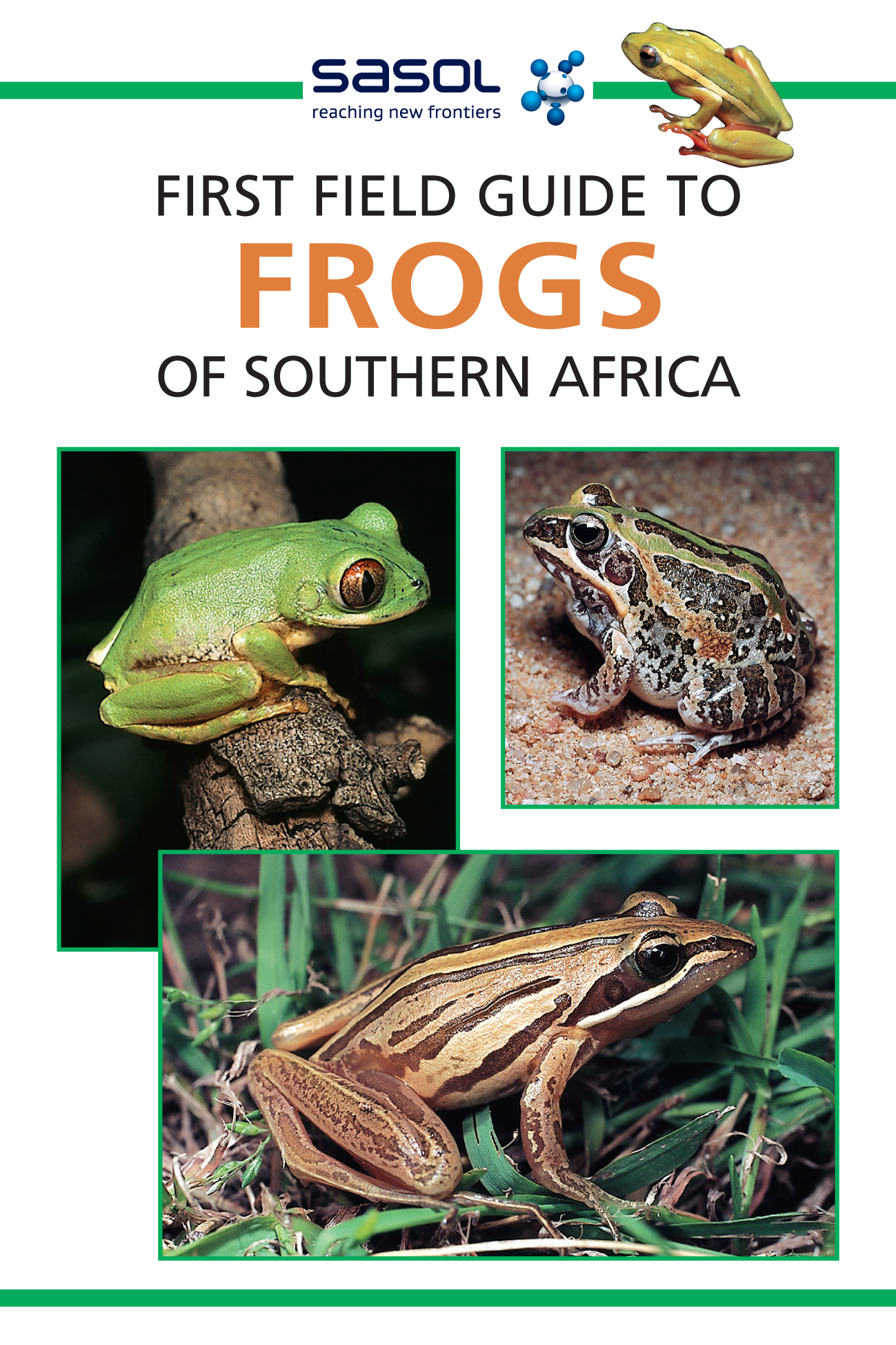 Sasol First Field Guide To Frogs Of Southern Africa By